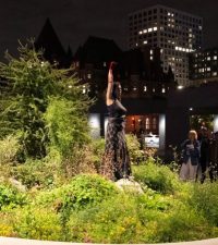 VIVA performance photo